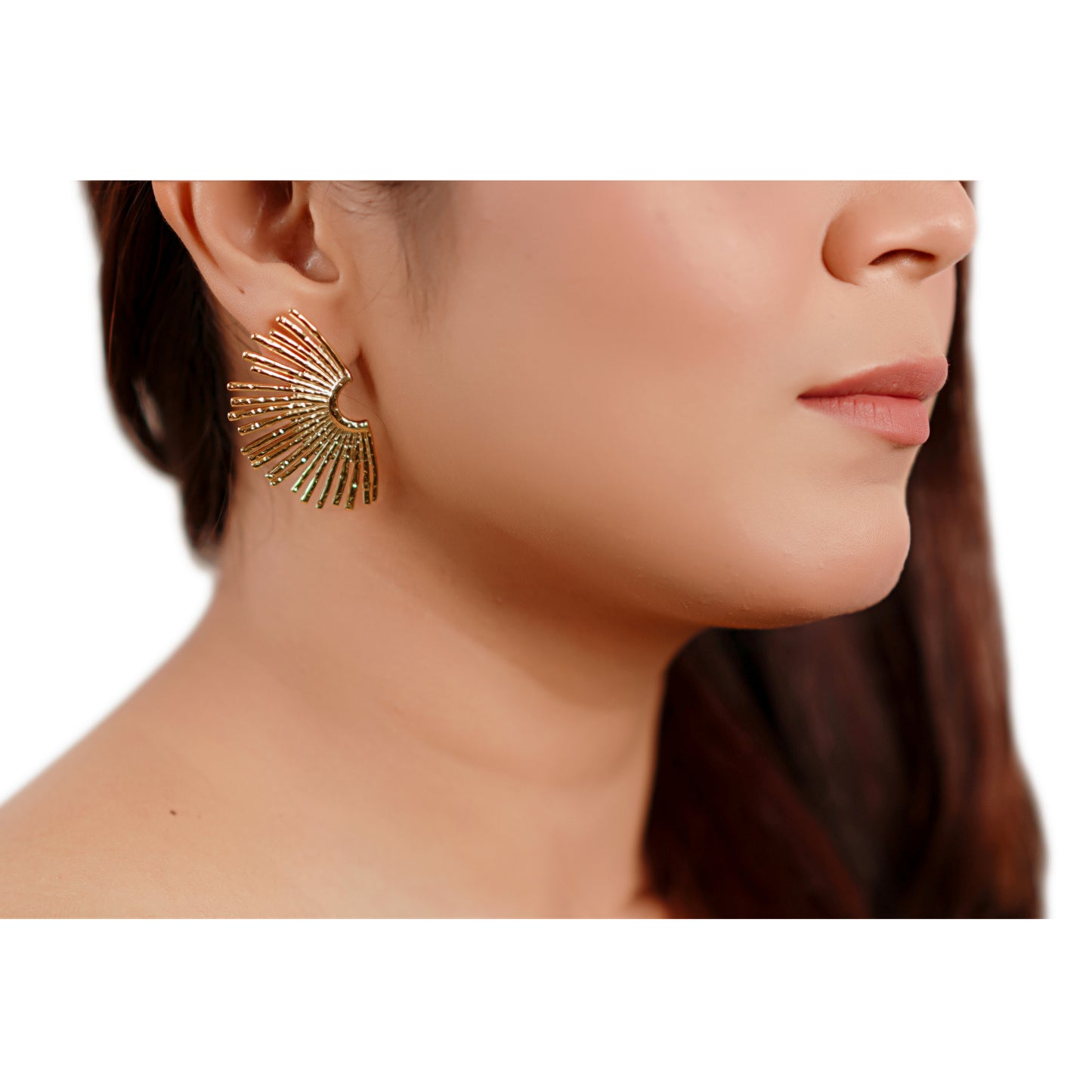 Fan Circle Earrings